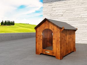 gestire ansia separazione nei cani