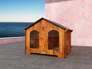 gestire ansia separazione nei cani