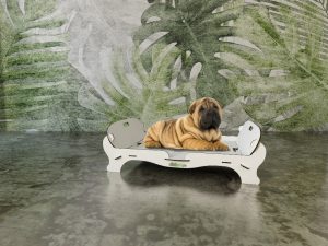 mantenere il peso ideale cane