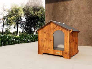 massaggio per i cani