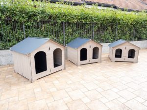 gamma cucce cucciolotta